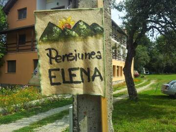 Фото номера Двухместный номер с 1 кроватью Отели типа «постель и завтрак» Pensiunea Elena г. Vistisoara 12